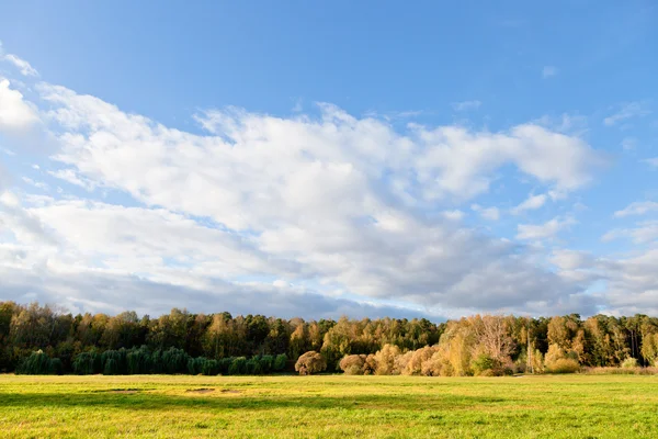 Blauwe hemel en witte wolken herfst bos — Stockfoto