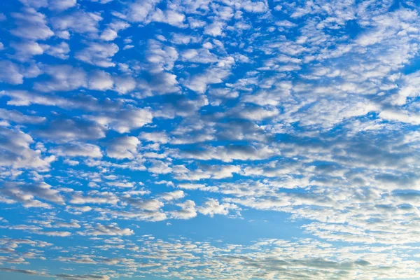 Weiße Wolkenketten am blauen Himmel — Stockfoto