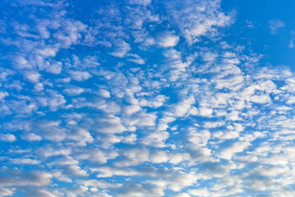 Viele weiße Kumuluswolken am blauen Himmel — Stockfoto