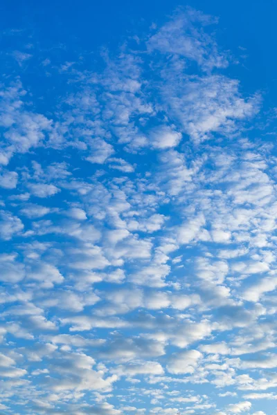 Weiße Kumuluswolken am blauen Morgenhimmel — Stockfoto