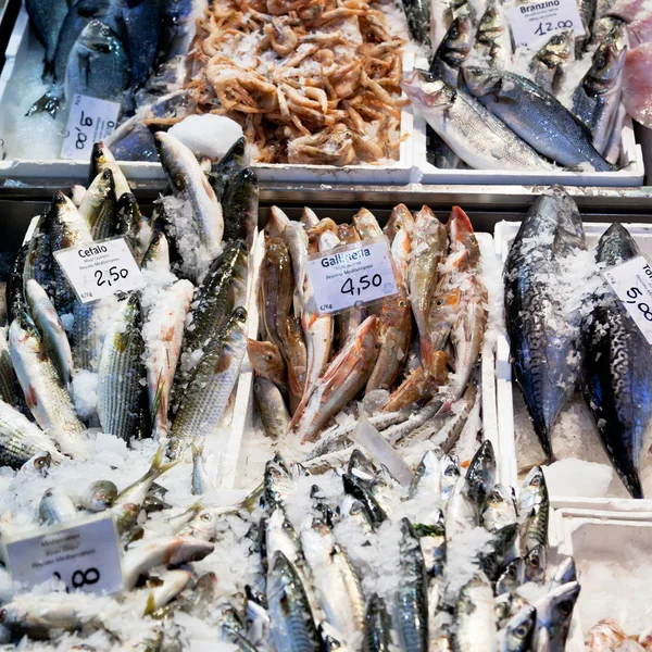 Frischer kühler Fisch auf Eis auf dem Wochenmarkt — Stockfoto