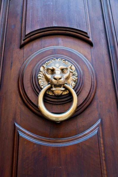 ライオンの頭状のドア ハンドル — ストック写真