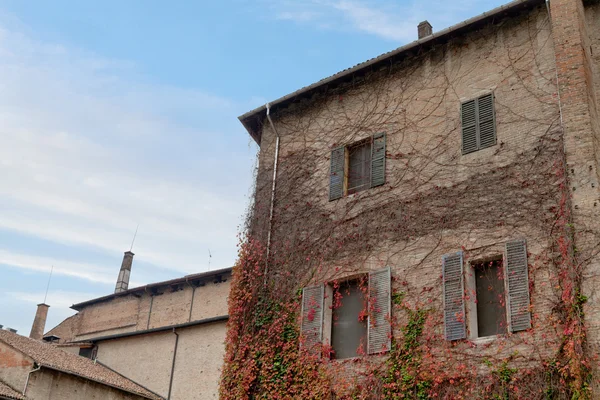 Oude muur huis muur bedekt met klimop — Stockfoto