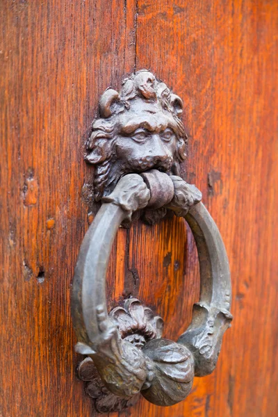 Lion head shaped old door handle — Stock Photo, Image