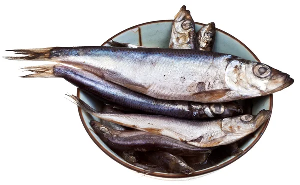 Spicy salted sprats in ceramic bowl — Stock Photo, Image