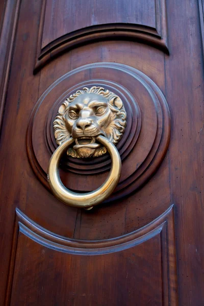 Λιοντάρι κεφάλι σε σχήμα λαβή της πόρτας — Φωτογραφία Αρχείου
