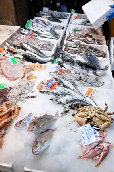 Pescado fresco fresco en el hielo en el mercado callejero —  Fotos de Stock