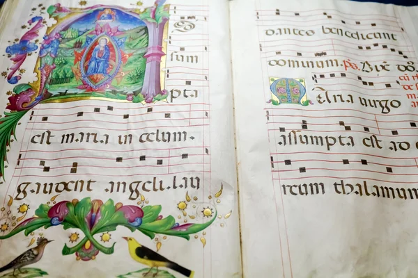 Medieval folio with choral note — Stock Photo, Image