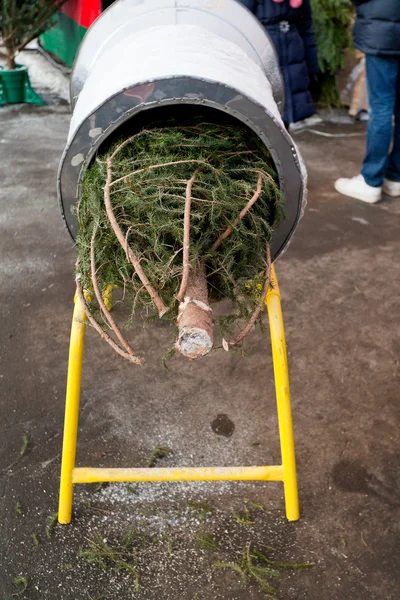 Kerstmarkt stedelijke fir-boom — Stockfoto