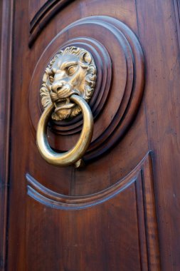 Brass lion head shaped door handle clipart