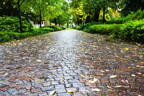 Caminho de pedra calçada molhada na arena parco dell, Pádua — Fotografia de Stock