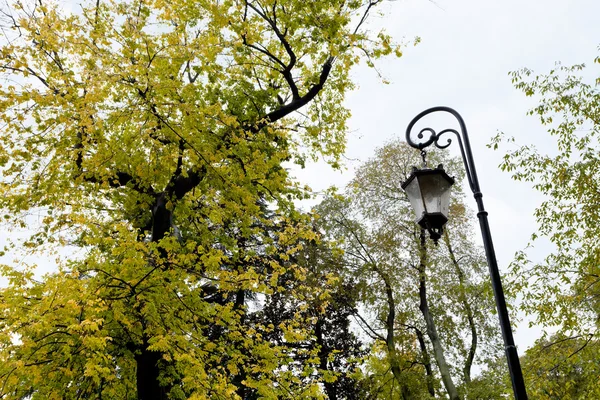 Lanterna urbana medievale e albero autunnale — Foto Stock