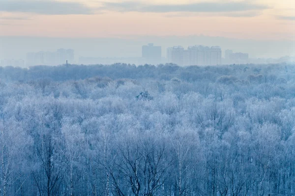 Niebieski wschód w Moi bardzo zimno — Zdjęcie stockowe