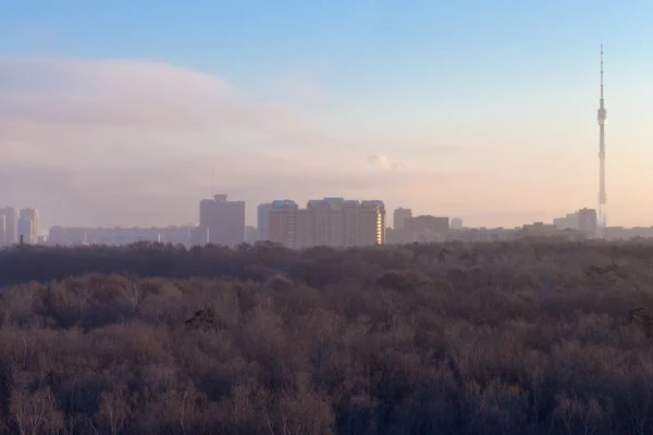 Vaaleanpunainen talvi auringonnousu — kuvapankkivalokuva