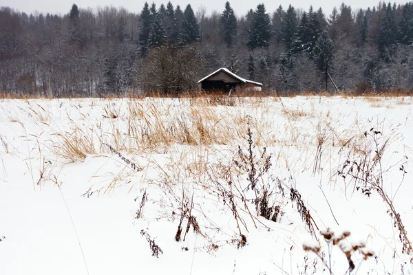 Osamělý dům v lese v zimě — Stock fotografie