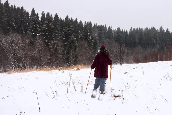 Skiers on the edge of the forest — Stock Photo, Image