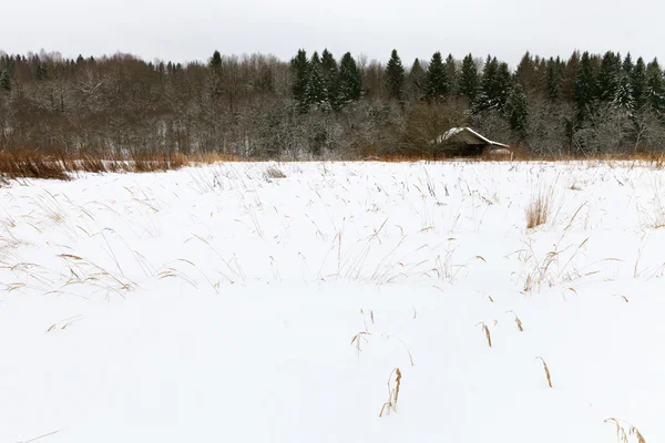 Maison rustique sur le bord du bois de neige — Photo