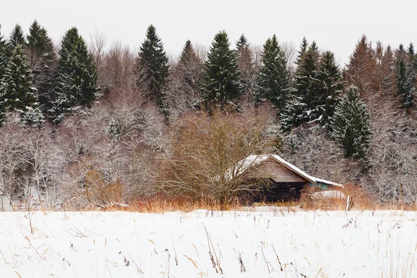 Деревянный дом на краю снежного леса — стоковое фото