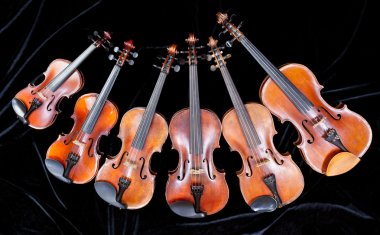 family of different sized violins on black clipart