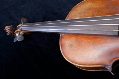 siyah kadife keman