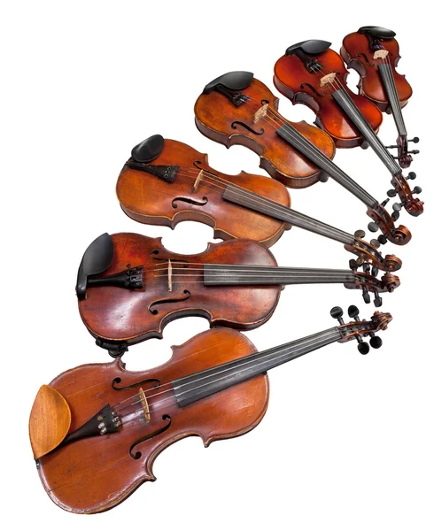 Sechs Größen von Geigen — Stockfoto