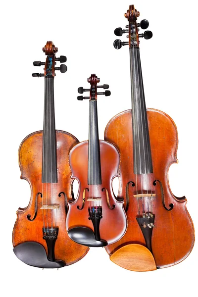 Three sizes of violins — Stock Photo, Image