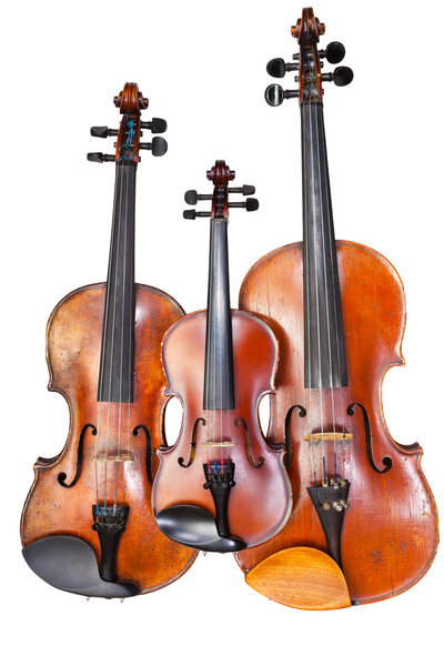 family of violins