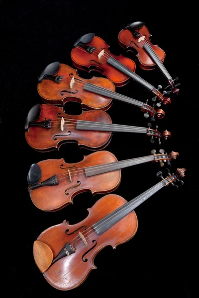 Forskellige størrelse violiner på sort - Stock-foto
