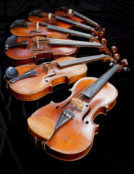 Violins with black background — Stock Photo, Image