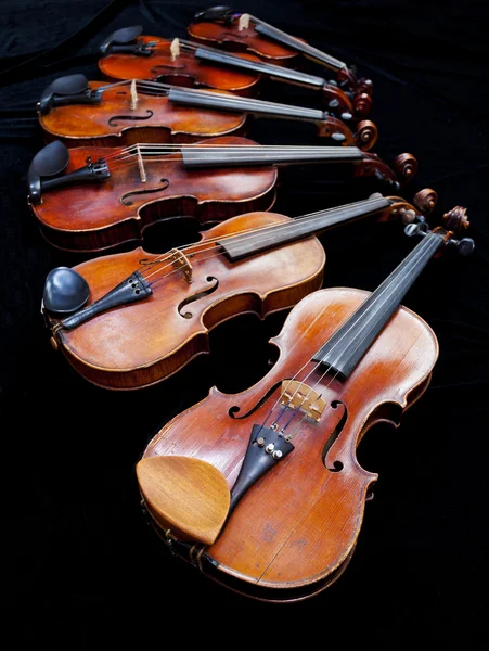 Šest housle s černým pozadím — Stock fotografie
