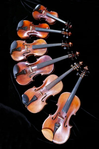 Family of different sized fiddles on black — Stock Photo, Image