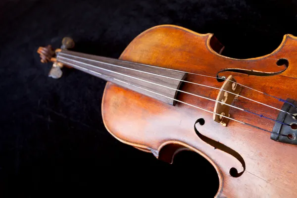 Violin deck on black velvet background — Stock Photo, Image