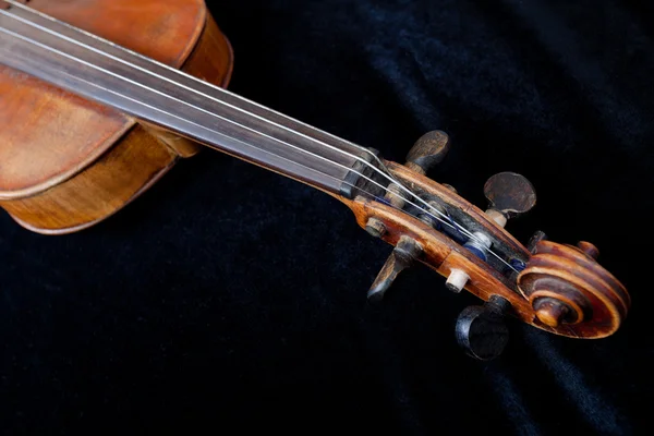 Rolagem de violino em fundo de veludo preto — Fotografia de Stock