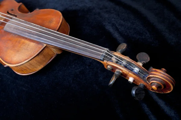 Violin pegbox på svart sammet — Stockfoto