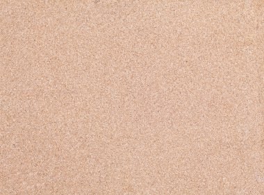 mantar pano arka plan