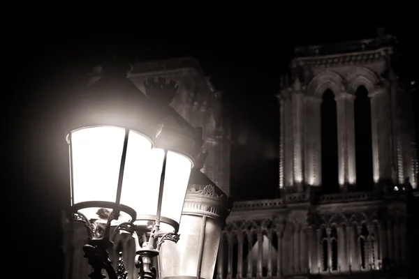 Lampen und Notre Dame de Paris — Stockfoto