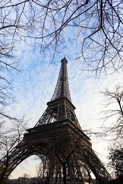 Eiffel wieża i drzewo oddziałów w Paryżu — Zdjęcie stockowe