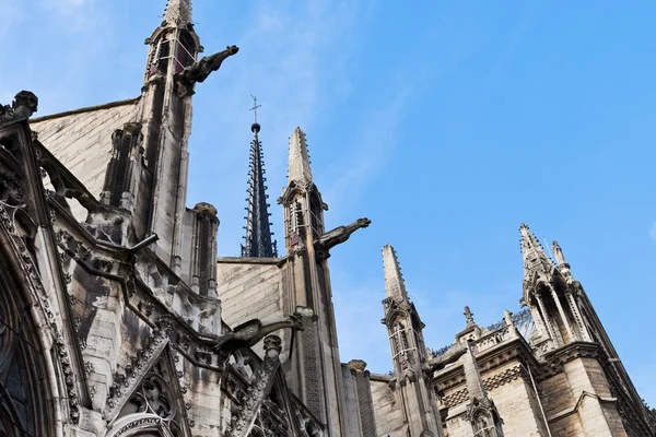 Gargoyles i notre dame — Stockfoto