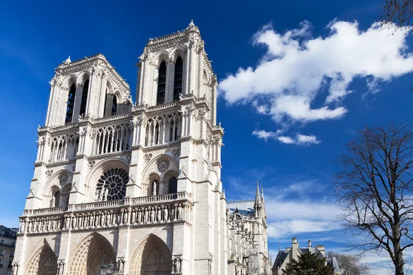 Senhora de notre de Paris — Fotografia de Stock