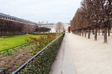 Paris'teki Palais-royal garden
