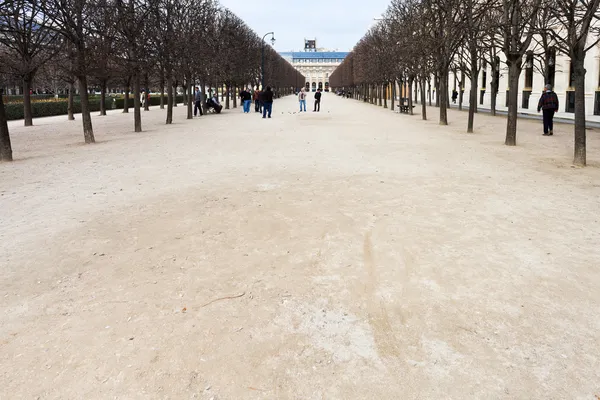 Kebun Kerajaan Palais (Jardins du Palais-Royal) di Paris, Prancis — Stok Foto