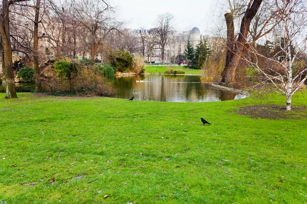 Groen gras rond kleine vijver — Stockfoto