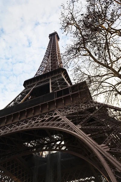 Eiffel tower and tree branches in Paris — Stock Photo, Image