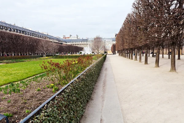 Palais-royal garden w Paryżu — Zdjęcie stockowe