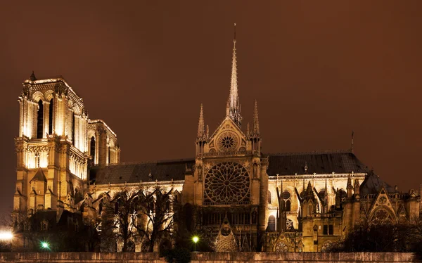 Cattedrale Notre-Dame de Paris — Foto Stock