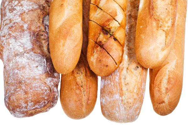 Several freshly baked loaves of bread — Stock Photo, Image