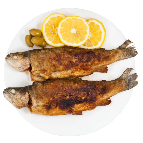 Pescado de trucha de río frito sobre fondo blanco — Foto de Stock