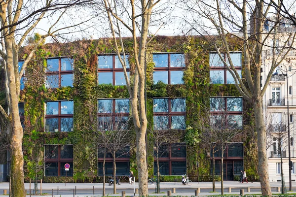 Green wall of Quai Branly Museum in Paris — Stock Photo, Image