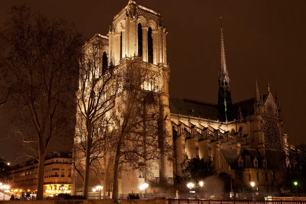 Kathedraal notre dame de paris bij nacht — Stockfoto