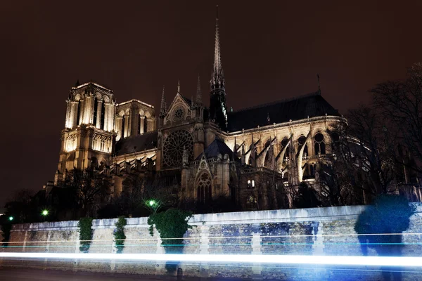 Katedra notre-dame de paris — Zdjęcie stockowe